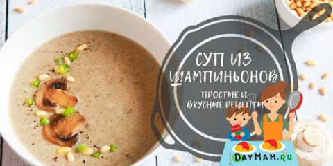 Houbová polévka podle klasických receptů